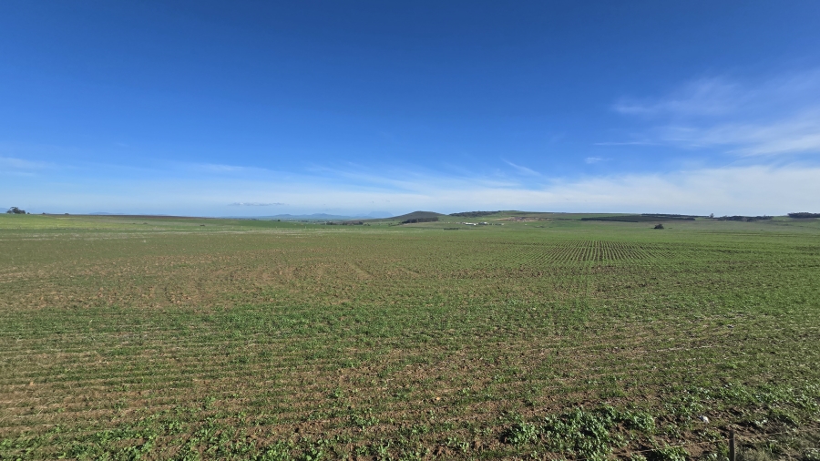 Commercial Property for Sale in Paarl Rural Western Cape